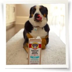 Brutus Broth Bone Broth Beef Flavor Hip & Joint Human-Grade Dog Food Topper, 32-oz Box & Brutus Broth Bone Broth Chicken Flavor Hip & Joint Human-Grade Dog Food Topper, 32-oz Box -Cozy Paws 916422 PT4. AC SS1800 V1689883429