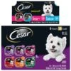 Cesar Classic Loaf In Sauce Variety Pack Grain-Free Small Breed Adult Wet Dog Food Trays & Cesar Breakfast Classic Loaf In Sauce Variety Pack Small Breed Adult Wet Dog Food Trays -Cozy Paws 916502 MAIN. AC SS1800 V1689884012