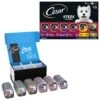 Cesar Home Delights & Classic Loaf In Sauce Variety Pack Small Breed Adult Wet Dog Food Trays & Cesar Steak Lovers Variety Pack Small Breed Adult Wet Dog Food Trays -Cozy Paws 916550 MAIN. AC SS1800 V1689881214