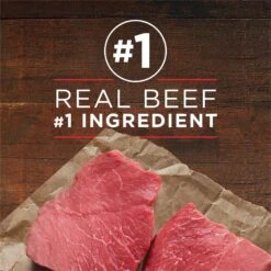 Purina ONE SmartBlend Classic Ground Beef & Brown Rice Entree Adult Canned Dog Food -Cozy Paws 91722 PT2. AC SS1800 V1668811232