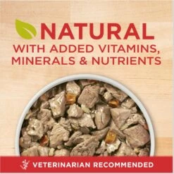 Purina ONE +Plus Adult Tender Cuts In Gravy Healthy Weight Lamb & Brown Rice Entree Canned Dog Food -Cozy Paws 91789 PT1. AC SS1800 V1671815172