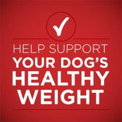 Purina ONE +Plus Adult Tender Cuts In Gravy Healthy Weight Lamb & Brown Rice Entree Canned Dog Food -Cozy Paws 91789 PT2. AC SS1800 V1671807371