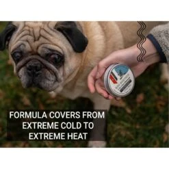 Gou Gou Pets 3-in-1 Paw Ointment Dog & Cat Cream -Cozy Paws 918182 PT3. AC SS1800 V1694203886