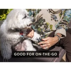 Gou Gou Pets Pedicure Kit For Dog, Cat, Bird & Reptile Tool -Cozy Paws 918286 PT5. AC SS1800 V1694205454