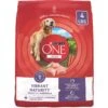 Purina ONE High Protein + Vibrant Maturity 7 Plus Formula Dry Senior Dog Food -Cozy Paws 918782 MAIN. AC SS1800 V1694545639
