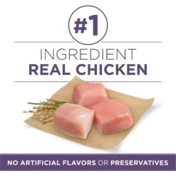 Purina ONE High Protein + Vibrant Maturity 7 Plus Formula Dry Senior Dog Food -Cozy Paws 918782 PT2. AC SS1800 V1694624325