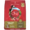 Purina ONE Lamb & Rice Formula Dry Dog Food
