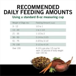 Dog Chow High Protein Recipe With Real Lamb & Beef Flavor Dry Dog Food, 44-lb Bag -Cozy Paws 918894 PT8. AC SS1800 V1694623174