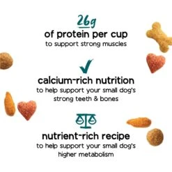 Purina Beneful IncrediBites With Farm-Raised Beef, Small Breed Dry Dog Food, 3.5-lb Bag 13 Purina Beneful IncrediBites With Farm-Raised Beef, Small Breed Dry Dog Food, 3.5-lb Bag -Cozy Paws 918942 PT2. AC SS1800 V1694545638