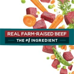 Purina Beneful IncrediBites With Farm-Raised Beef, Small Breed Dry Dog Food, 3.5-lb Bag 18 Purina Beneful IncrediBites With Farm-Raised Beef, Small Breed Dry Dog Food, 3.5-lb Bag -Cozy Paws 918942 PT7. AC SS1800 V1694538297
