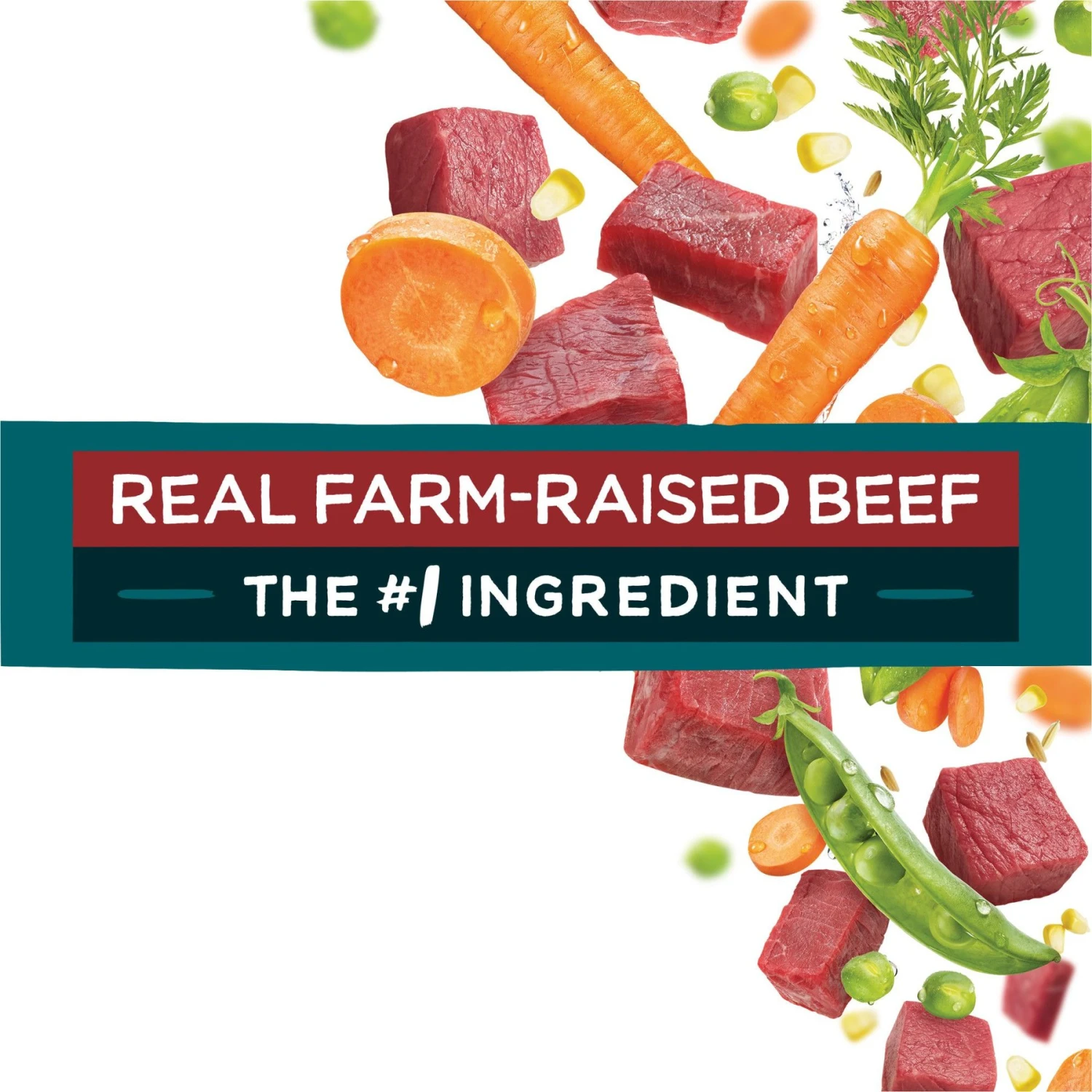 Purina Beneful IncrediBites With Farm-Raised Beef, Small Breed Dry Dog Food, 3.5-lb Bag 10 Purina Beneful IncrediBites With Farm-Raised Beef, Small Breed Dry Dog Food, 3.5-lb Bag - Image 8