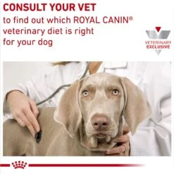 Royal Canin Veterinary Diet Hydrolyzed Protein Dry Puppy Dog Food -Cozy Paws 919486 PT8. AC SS1800 V1695054512