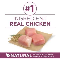 Purina ONE +Plus Natural High Protein Healthy Puppy Formula Dry Puppy Food -Cozy Paws 91979 PT3. AC SS1800 V1647918437