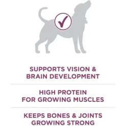 Purina ONE +Plus Natural High Protein Healthy Puppy Formula Dry Puppy Food -Cozy Paws 91979 PT4. AC SS1800 V1647912990