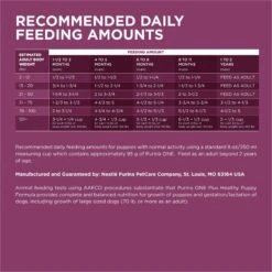 Purina ONE +Plus Natural High Protein Healthy Puppy Formula Dry Puppy Food -Cozy Paws 91979 PT8. AC SS1800 V1647903384