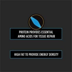 Purina Pro Plan Veterinary Diets CN Critical Nutrition Wet Dog & Cat Food -Cozy Paws 92027 PT4. AC SS1800 V1700160918