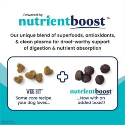 Solid Gold Nutrientboost Wee Bit Bison & Brown Rice Recipe With Pearled Barley Small Breed Dry Dog Food -Cozy Paws 920814 PT1. AC SS1800 V1702598192