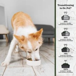 Dr. Pol Incredi-Pol Favorites Lamb & Brown Rice Dog Food, 6-lb Bag -Cozy Paws 922262 PT3. AC SS1800 V1692195872