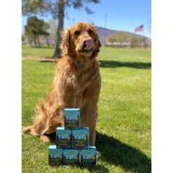 Jiminy's Cravin' Cricket Entree Organic Wet Dog Food, 6 Count -Cozy Paws 926662 PT2. AC SS1800 V1695997247