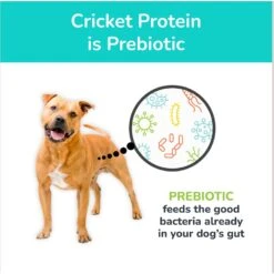 Jiminy's Cravin' Cricket Entree Organic Wet Dog Food, 6 Count -Cozy Paws 926662 PT5. AC SS1800 V1696262856