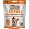 Whole Life Recover Pumpkin & Yogurt Freeze-Dried Dog Food, 16-oz Bag -Cozy Paws 929774 MAIN. AC SS1800 V1691175253
