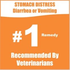 Whole Life Recover Pumpkin & Yogurt Freeze-Dried Dog Food, 16-oz Bag -Cozy Paws 929774 PT2. AC SS1800 V1691181979