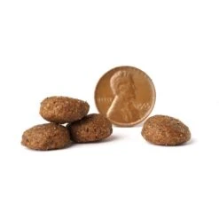 VICTOR Select Beef Meal & Brown Rice Dry Dog Food -Cozy Paws 93042 PT3. AC SS1800 V1677684668