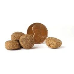 VICTOR Select Chicken Meal & Brown Rice Formula Dry Dog Food -Cozy Paws 93046 PT3. AC SS1800 V1677684726