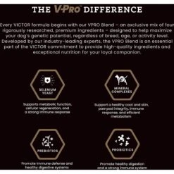 VICTOR Select Lamb Meal & Brown Rice Dry Dog Food -Cozy Paws 93054 PT4. AC SS1800 V1677679724