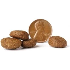 VICTOR Purpose Senior Healthy Weight Dry Dog Food -Cozy Paws 93070 PT3. AC SS1800 V1677680750