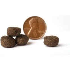 VICTOR Select Chicken Meal & Sweet Potato Recipe Grain-Free Dry Dog Food -Cozy Paws 93085 PT3. AC SS1800 V1677680689