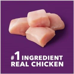 Iams Advanced Health Mobility Support Chicken & Whole Grain Recipe Adult Dry Dog Food -Cozy Paws 930974 PT3. AC SS1800 V1691181447