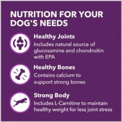 Iams Advanced Health Mobility Support Chicken & Whole Grain Recipe Adult Dry Dog Food -Cozy Paws 930974 PT4. AC SS1800 V1691181338