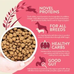 Earthborn Holistic Unrefined Roasted Rabbit With Ancient Grains & Superfoods Dry Dog Food -Cozy Paws 931318 PT3. AC SS1800 V1697754569