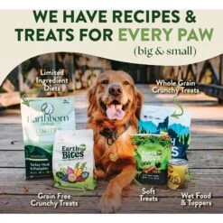Earthborn Holistic Venture Limited Ingredient Turkey Meal & Pumpkin Grain-Free Dry Dog Food -Cozy Paws 931398 PT6. AC SS1800 V1697754236