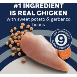 CANIDAE Grain-Free PURE Senior Limited Ingredient Chicken, Sweet Potato & Garbanzo Bean Recipe Dry Dog Food -Cozy Paws 93163 PT3. AC SS1800 V1684793461