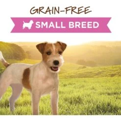 Instinct Original Small Breed Grain-Free Real Chicken Recipe Wet Canned Dog Food -Cozy Paws 93345 PT1. AC SS1800 V1548801137