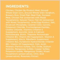 Iams Proactive Health Puppy High Protein DHA Formula With Real Chicken Dry Dog Food & Iams ProActive Health Classic Ground With Chicken & Rice Puppy Wet Dog Food -Cozy Paws 933574 PT3. AC SS1800 V1692303668