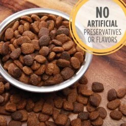 Iams Proactive Health Puppy High Protein DHA Formula With Real Chicken Dry Dog Food & Iams ProActive Health Classic Ground With Chicken & Rice Puppy Wet Dog Food -Cozy Paws 933574 PT4. AC SS1800 V1692304958