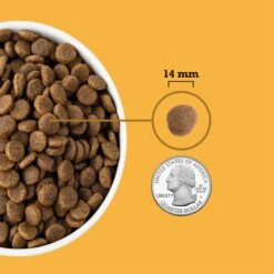 ACANA Free-Run Poultry Recipe Grain-Free Dry Dog Food -Cozy Paws 93449 PT5. AC SS1800 V1694097530