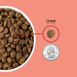 ACANA Red Meat Recipe Grain-Free Dry Dog Food -Cozy Paws 93460 PT5. AC SS1800 V1694097471