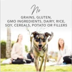 K9 Natural Beef Feast Freeze-Dried Dog Food Topper -Cozy Paws 93462 PT2. AC SS1800 V1693244608