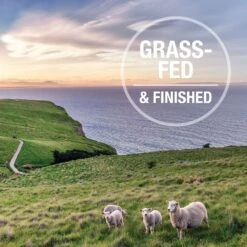 K9 Natural Beef Feast Freeze-Dried Dog Food Topper -Cozy Paws 93462 PT5. AC SS1800 V1693235555