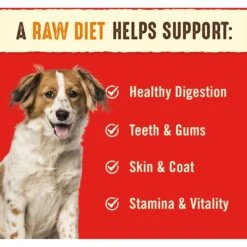 Stella & Chewy's Stella's Super Beef Dinner Patties Freeze-Dried Raw Dog Food -Cozy Paws 93474 PT3. AC SS1800 V1516233047