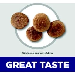 Hill's Science Diet Adult 11+ Small & Mini Chicken Meal, Barley & Brown Rice Recipe Dry Dog Food -Cozy Paws 93537 PT2. AC SS1800 V1692734522