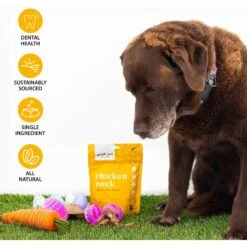 Good Pet Kitchen Chicken Neck Air Dried Dog Treat, 2.8-oz Bag -Cozy Paws 937518 PT2. AC SS1800 V1692721116