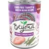 Purina Beyond Turkey & Green Bean Recipe In Gravy Canned Dog Food -Cozy Paws 93786 MAIN. AC SS1800 V1700156475