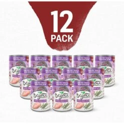 Purina Beyond Turkey & Green Bean Recipe In Gravy Canned Dog Food -Cozy Paws 93786 PT1. AC SS1800 V1700162427