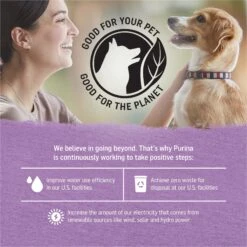 Purina Beyond Turkey & Green Bean Recipe In Gravy Canned Dog Food -Cozy Paws 93786 PT6. AC SS1800 V1700159474