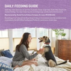 Purina Beyond Turkey & Green Bean Recipe In Gravy Canned Dog Food -Cozy Paws 93786 PT7. AC SS1800 V1700158399